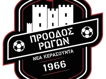 Βγάζει νέα διοίκηση η Πρόοδος Ρωγών