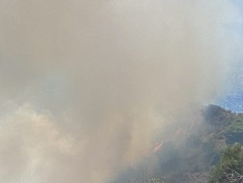 Σε κατάσταση έκτακτης ανάγκης περιοχές του Δήμου Πρέβεζας που επλήγησαν από πυρκαγιές 