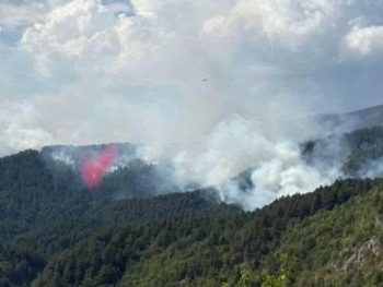 Ρίψεις επιβραδυντικού στη φωτιά του Αμάραντου