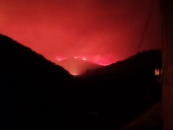 Μετά τις φλόγες… Ένας διαφορετικός Δεκαπενταύγουστος στην Ήπειρο