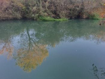 Αγώνας δρόμου για την διάσωση του Λούρου από τα απόβλητα που θάφτηκαν στη Γέφυρα Καλογήρου