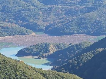 Χιλιάδες κορμοί δέντρων καλύπτουν τη λίμνη Πουρναρίου