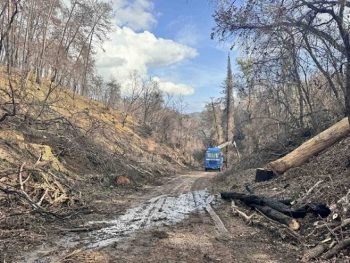 Σε εξέλιξη οι εργασίες απομάκρυνσης των καμμένων δέντρων από τη λίμνη Ζηρού