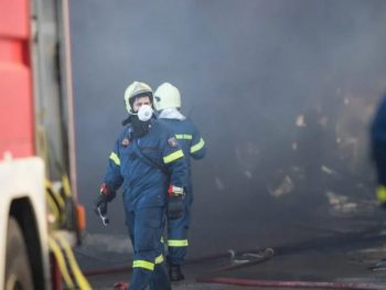 Φωτιά σε στάβλο στην Παλιουρή Ζίτσας: Κάηκαν ζώα και ζωοτροφές