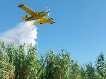 Λήξη συναγερμού στην Πρέβεζα- Οριοθετήθηκε η φωτιά στο Νεοχώρι
