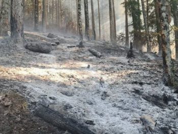 Κόνιτσα: Περιορίστηκαν οι εστίες, αλλά κανείς δεν εφησυχάζει 