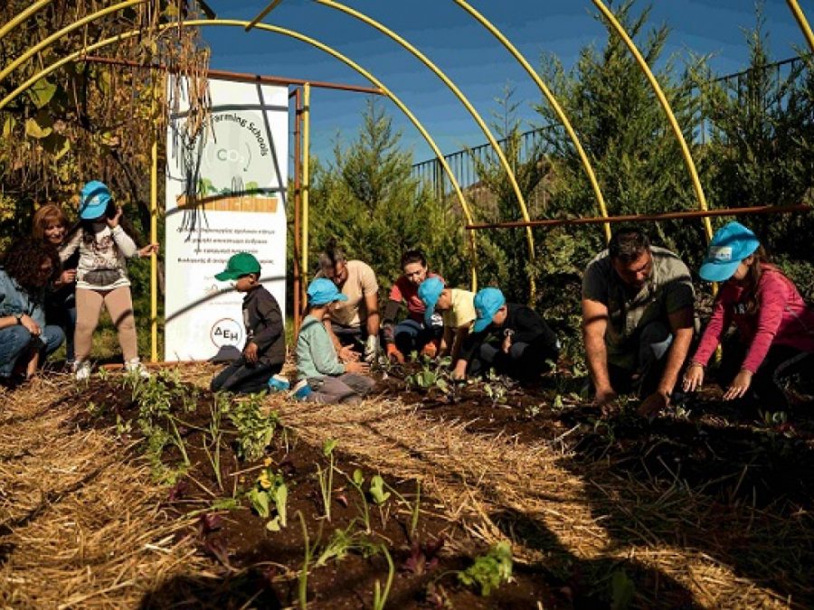 ΔΕΗ και Open Farm προωθούν τη βιώσιμη γεωργία στους μαθητές μέσω του “Carbon Farming Schools”