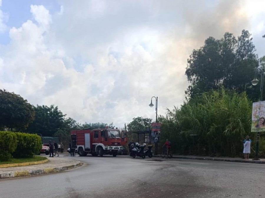 Φωτιά  στις καλαμιές στο ύψος της Λεωφόρου Ειρήνης στην Πρέβεζα