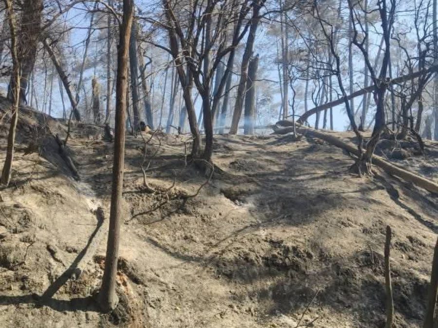Σε κατάσταση έκτακτης ανάγκης ο Δήμος Ζηρού 