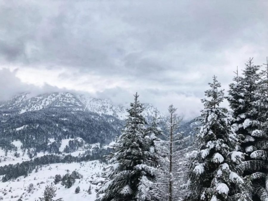 Περιπέτεια για οικογένεια στον δρόμο από Χαλίκι προς Ανήλιο