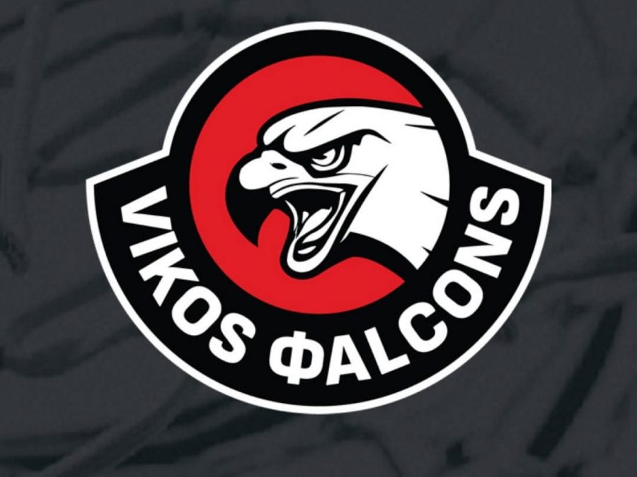 Vikos Φalcons: Κανένα θέμα προπονητή