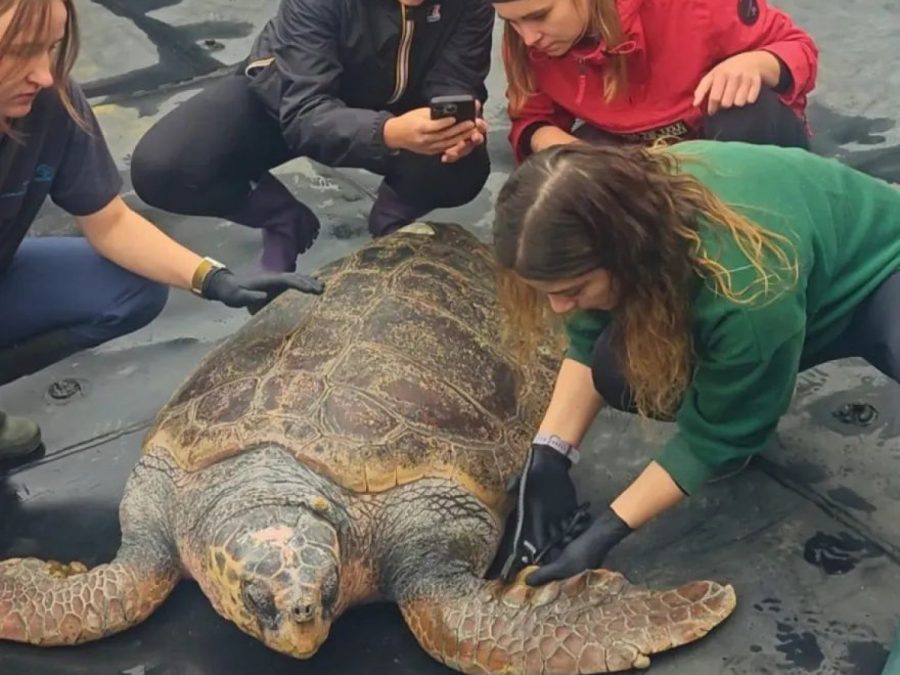 Ο Έβερεστ τα κατάφερε και επιστρέφει στην Θάλασσα