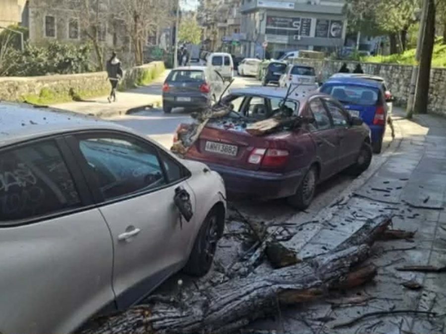 Ζημιές σε οχήματα από πτώση κλαδιών στην οδό Μπιζανίου στα Ιωάννινα
