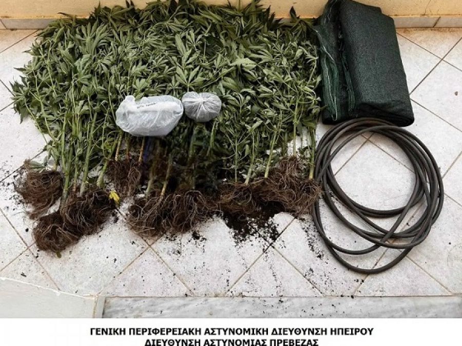 Καλλιέργεια και κατοχή ναρκωτικών σε περιοχή της Πρέβεζας