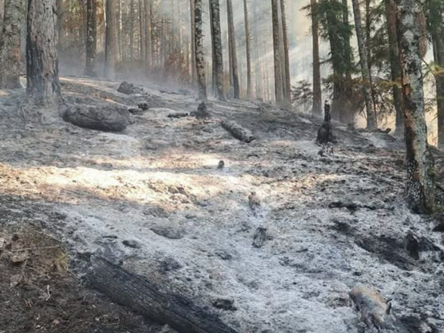 Κόνιτσα: Περιορίστηκαν οι εστίες, αλλά κανείς δεν εφησυχάζει 