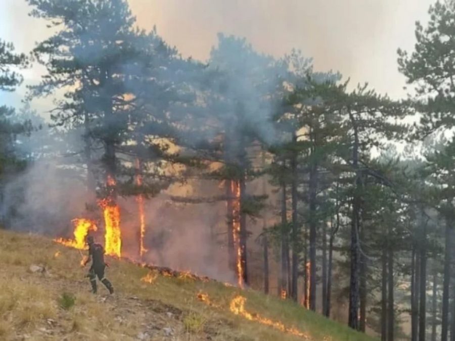 Η επόμενη μέρα της φωτιάς στην Τραπεζίτσα- Ορειβάτες ανεβαίνουν για να καθαρίσουν το βουνό
