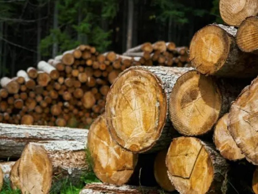 Διάθεση καυσόξυλων ατομικών αναγκών στους κατοίκους των Πραμάντων 