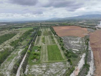 ΔΕΗ: Ιδρυτικό μέλος στην διεθνή πρωτοβουλία «Συμμαχία  για τη Βιώσιμη Διαχείριση της Βιοποικιλότητας»