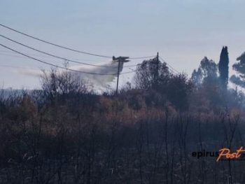 Υπό έλεγχο η φωτιά στην Πρέβεζα