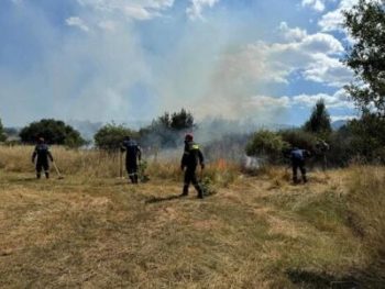 Φωτιά σε χορτολιβαδική έκταση στον Κατσικά