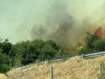 Φωτιά σε δασική έκταση κοντά στην Ιόνια Οδό