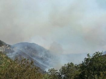  Σε ύφεση η φωτιά στον Παλαμπά Θεσπρωτίας