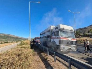 Η Πυροσβεστική έσωσε ζώα από φλεγόμενο φορτηγό