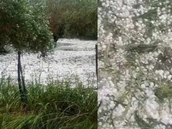 Σφοδρή χαλαζόπτωση στην Άνω Πέτρα και ζημιές στις καλλιέργειες