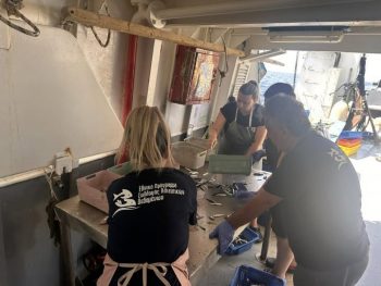 Σε εξέλιξη το πρόγραμμα πειραματικής αλιείας σε Αιγαίο και Ιόνιο