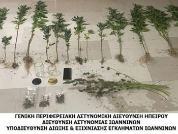 Διακινούσε ναρκωτικά στα Γιάννινα 