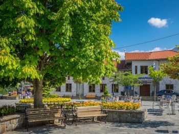 Κλειστό το Δημαρχείο Βόρειων Τζουμέρκων την Τρίτη – Παράσταση διαμαρτυρίας στην Αποκεντρωμένη