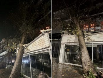 Ηγουμενίτσα: Κατέρρευσε πλάτανος και έπεσε σε κατάστημα εστίασης
