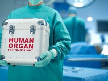 Λήψη ήπατος και νεφρών από δότη με εγκεφαλικό θάνατο