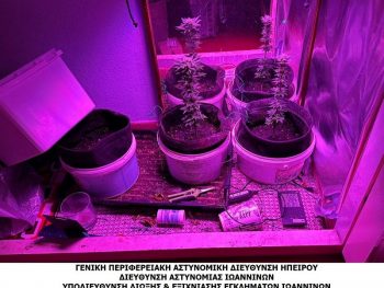 Φυτεία κάνναβης και διακίνηση στον Δήμο Δωδώνης 