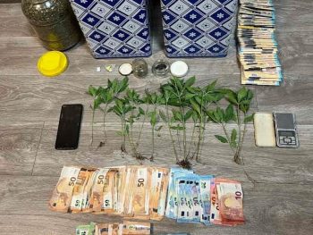 Φυτεία κάνναβης και διακίνηση στον Δήμο Δωδώνης 