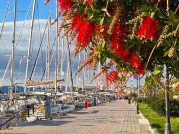 Αυστηρό πλαίσιο για την κυκλοφορία των οχημάτων κατά την θερινή περίοδο στην παραλία θέτει το Δημοτικό Λιμενικό Ταμείο Πρέβεζας