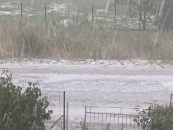 Σφοδρή χαλαζόπτωση στην Πεδινή – Ζημιές σε καλλιέργειες και πανικός σε Πανεπιστήμιο και Νοσοκομείο