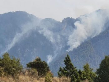 Δέκα ημέρες μάχης με τις φλόγες στην Κόνιτσα