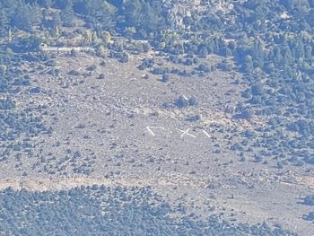Ένα γιγαντιαίο «ΟΧΙ» στο Μιτσικέλι για την 28η Οκτωβρίου