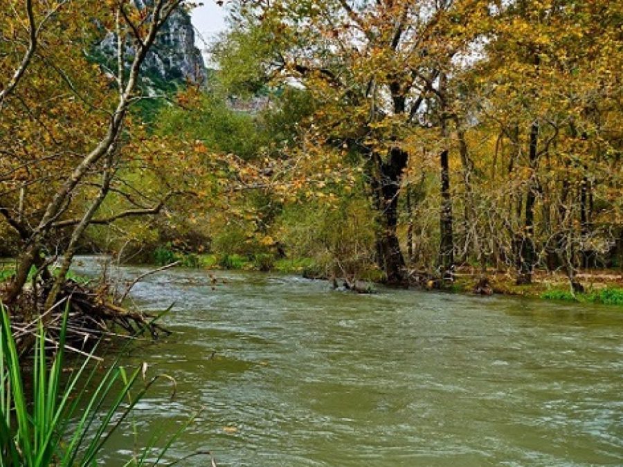 Προσφυγή της Περιφέρειας  για την υπόθεση «Λούρου»