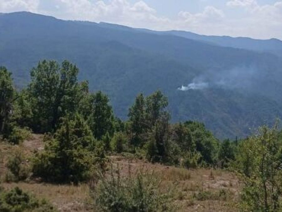  Φωτιά στο πευκοδάσος στη Δροσοπηγή Κόνιτσας