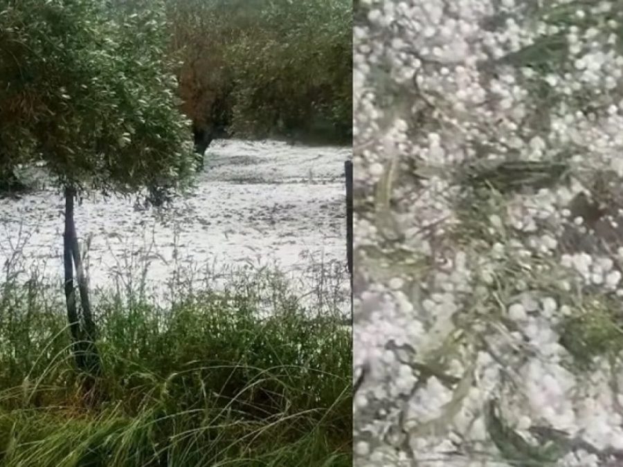 Σφοδρή χαλαζόπτωση στην Άνω Πέτρα και ζημιές στις καλλιέργειες