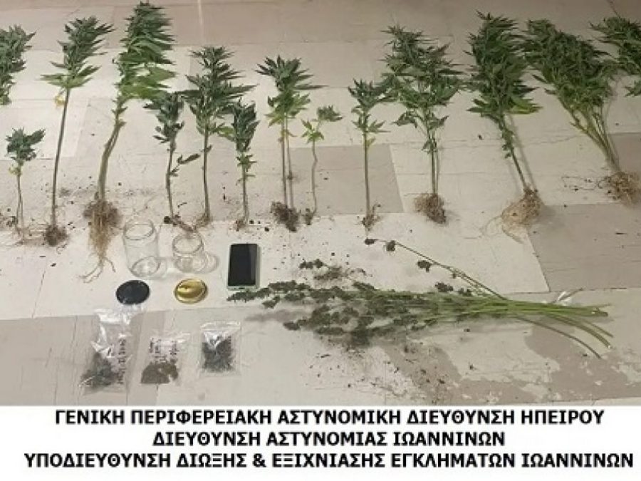 Διακινούσε ναρκωτικά στα Γιάννινα 