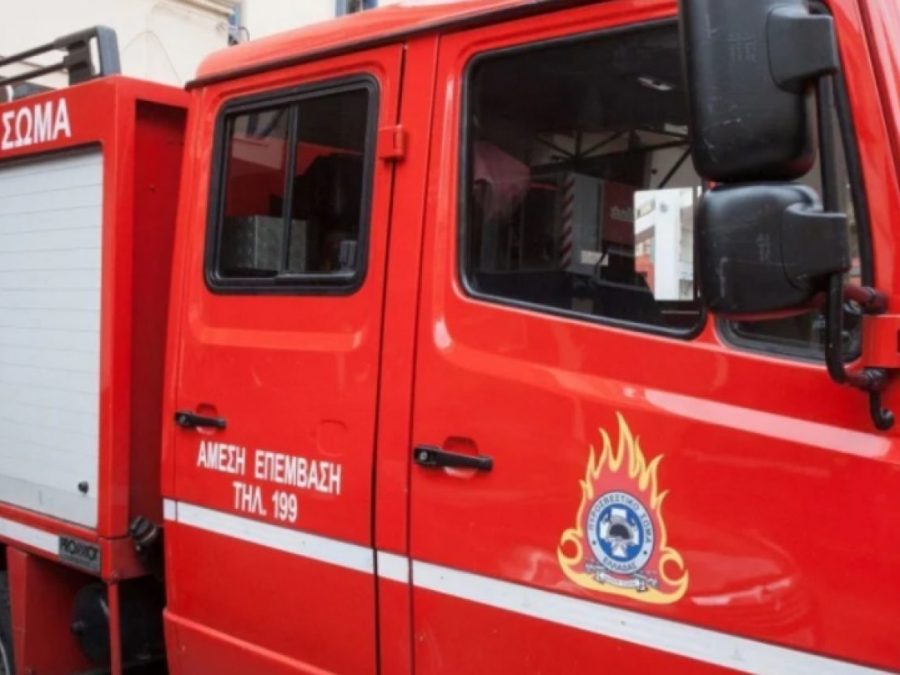 Υπό μερικό έλεγχο φωτιά σε ξερά χόρτα στην Ελεούσα Ιωαννίνων