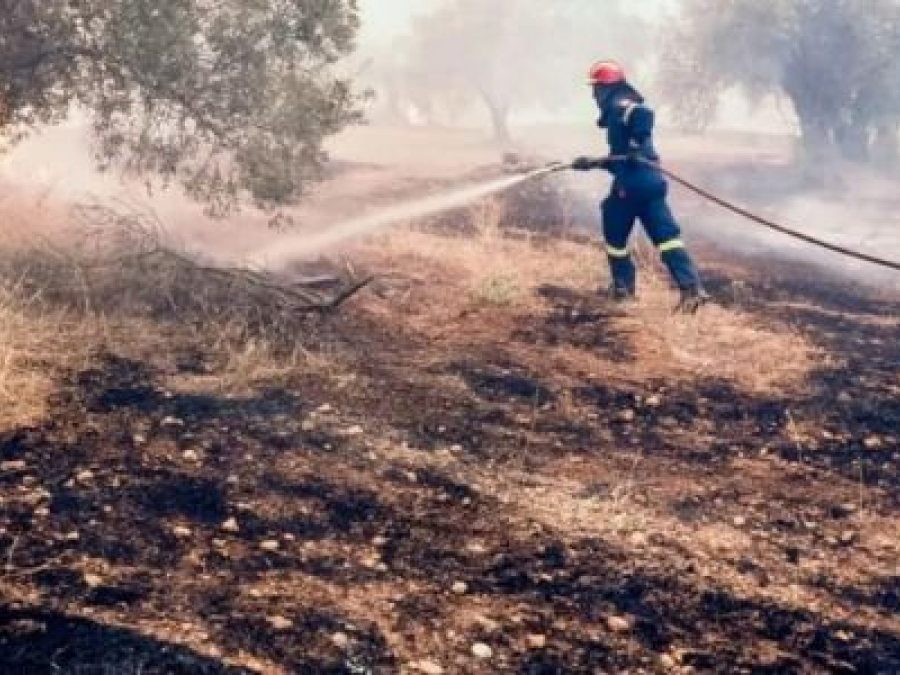 Φωτιά κοντά στην Πρωτόπαπα του Δήμου Ζίτσας