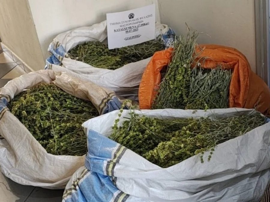 Χειροπέδες σε αλλοδαπό με 27 κιλά τσάι του βουνού