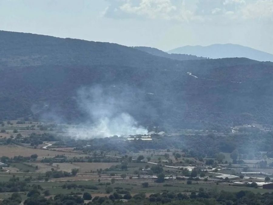 Νέα φωτιά στο Πετσάλι 