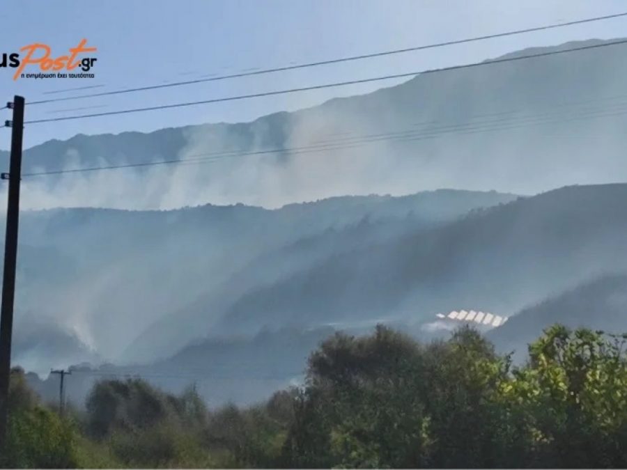 Στις μεγαλύτερες πυρκαγιές του καλοκαιριού η φωτιά στο Δήμο Ζηρού