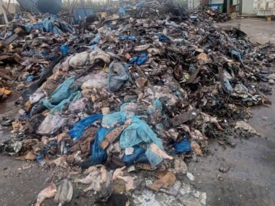 Συλλήψεις για τον παράνομο ενταφιασμό  ζωΪκών αποβλήτων  στηνπεριοχή της Γέφυρας Καλογήρου