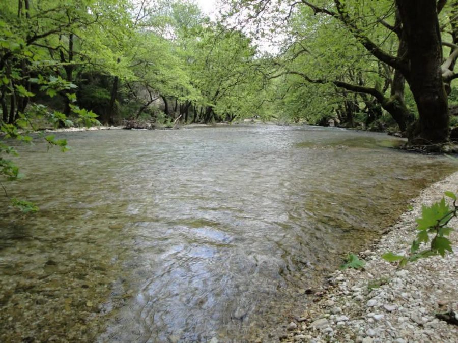 Έρευνες στην ιχθυοπανίδα του ποταμού Λούρου θα πραγματοποιηθούν με χρηματοδότηση από τη ΔΕΗ
